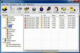 Internet Download Manager IDM 6